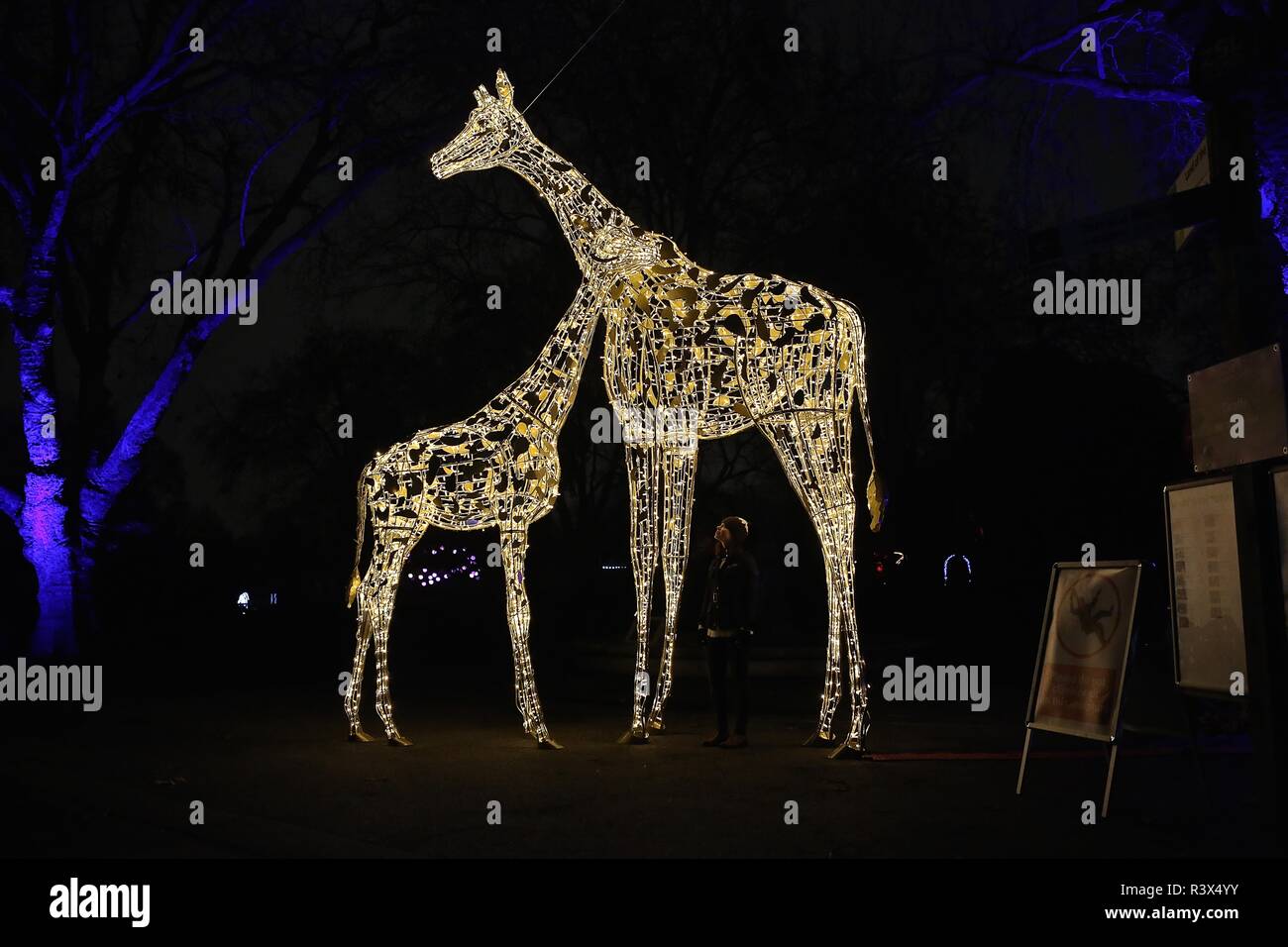Christmas at London Zoo Stock Photo Alamy