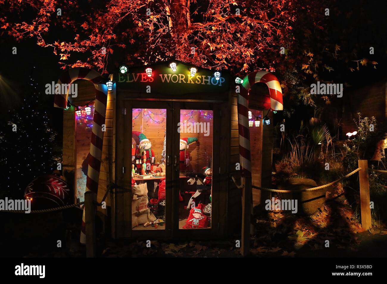 Christmas at London Zoo Stock Photo Alamy