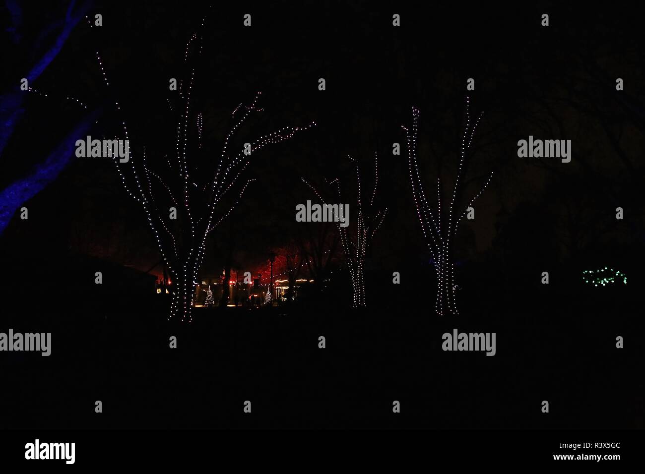 Christmas at London Zoo Stock Photo Alamy