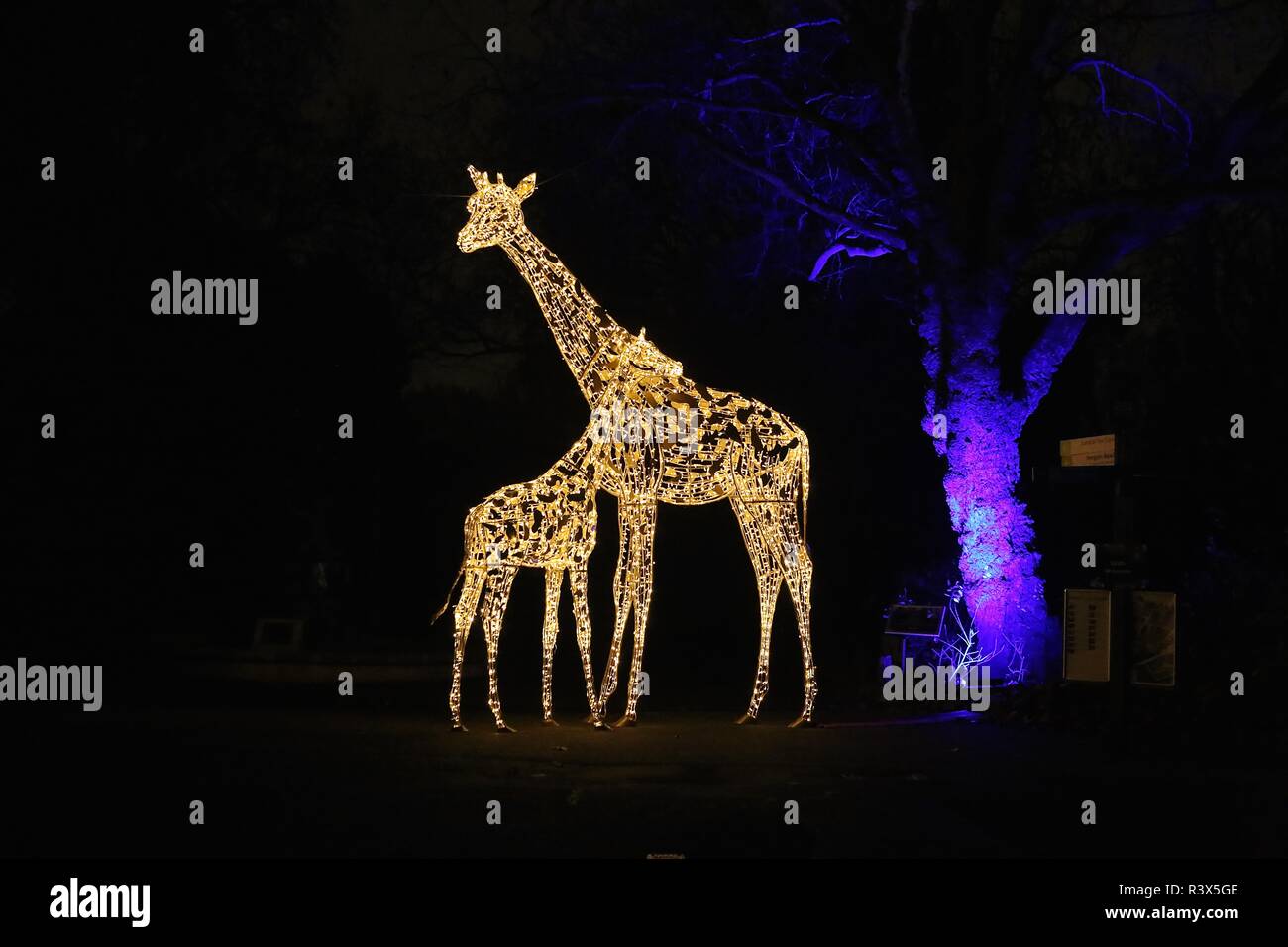 Christmas at London Zoo Stock Photo Alamy