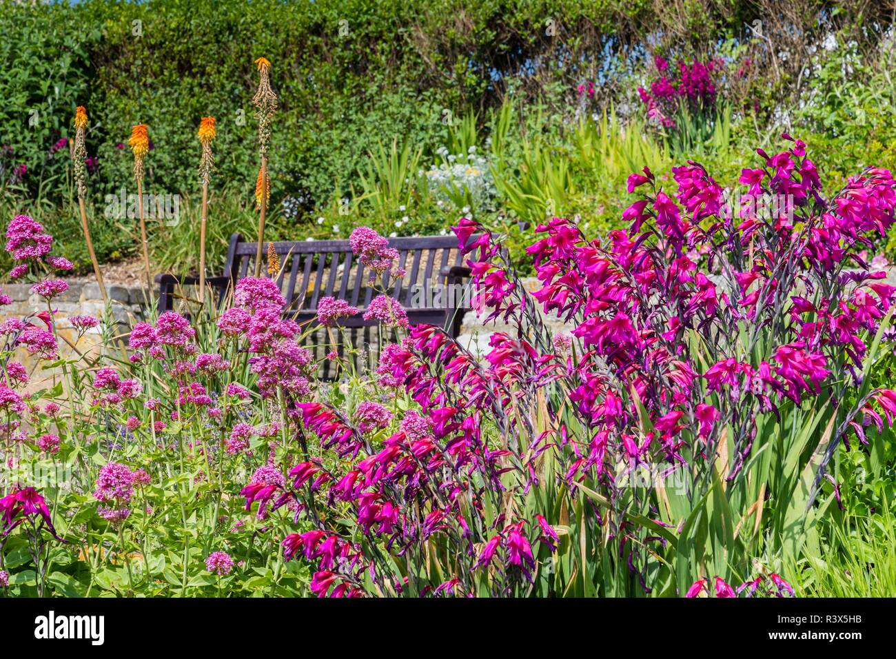 Bench between colorful flowers along the seaside in Eastbourne, Sussex, United Kingdom Stock Photo