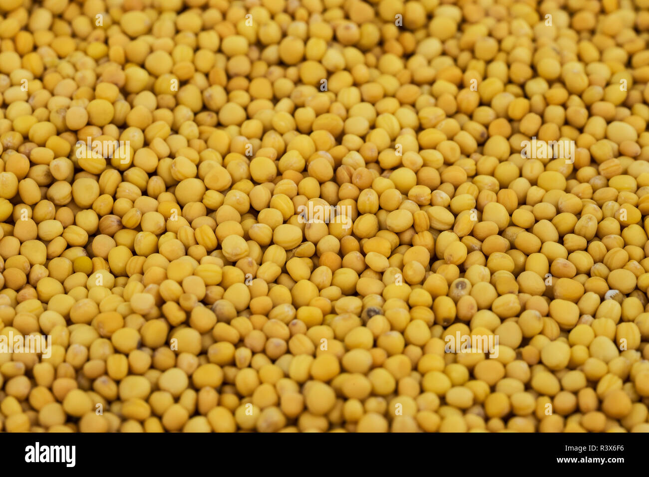 yellow mustard seeds Stock Photo Alamy