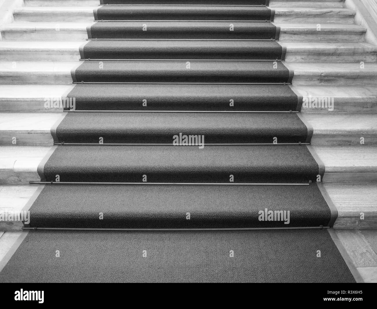 Black and white Red carpet Stock Photo Alamy