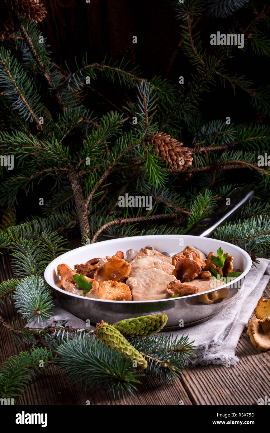 pork tenderloin with chanterelle sauce Stock Photo Alamy