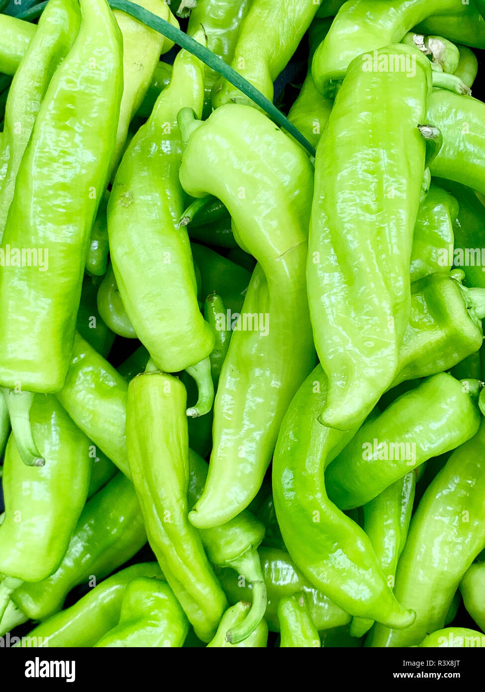 A very detailed close up of fresh green peppers. The light green color is  vivid and shining Stock Photo - Alamy