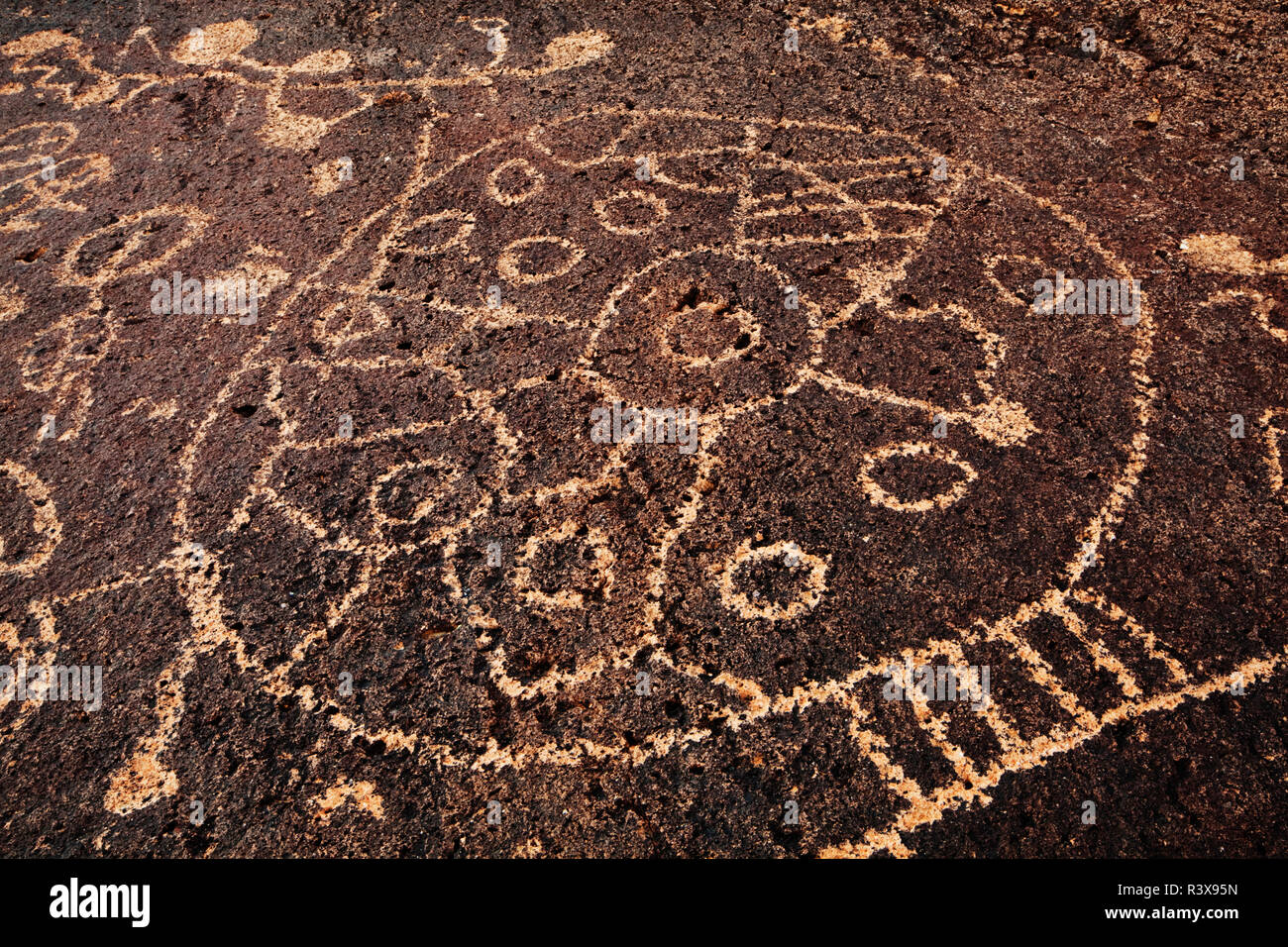 USA, California, Owens Valley. Petroglyphs covering boulder Stock Photo