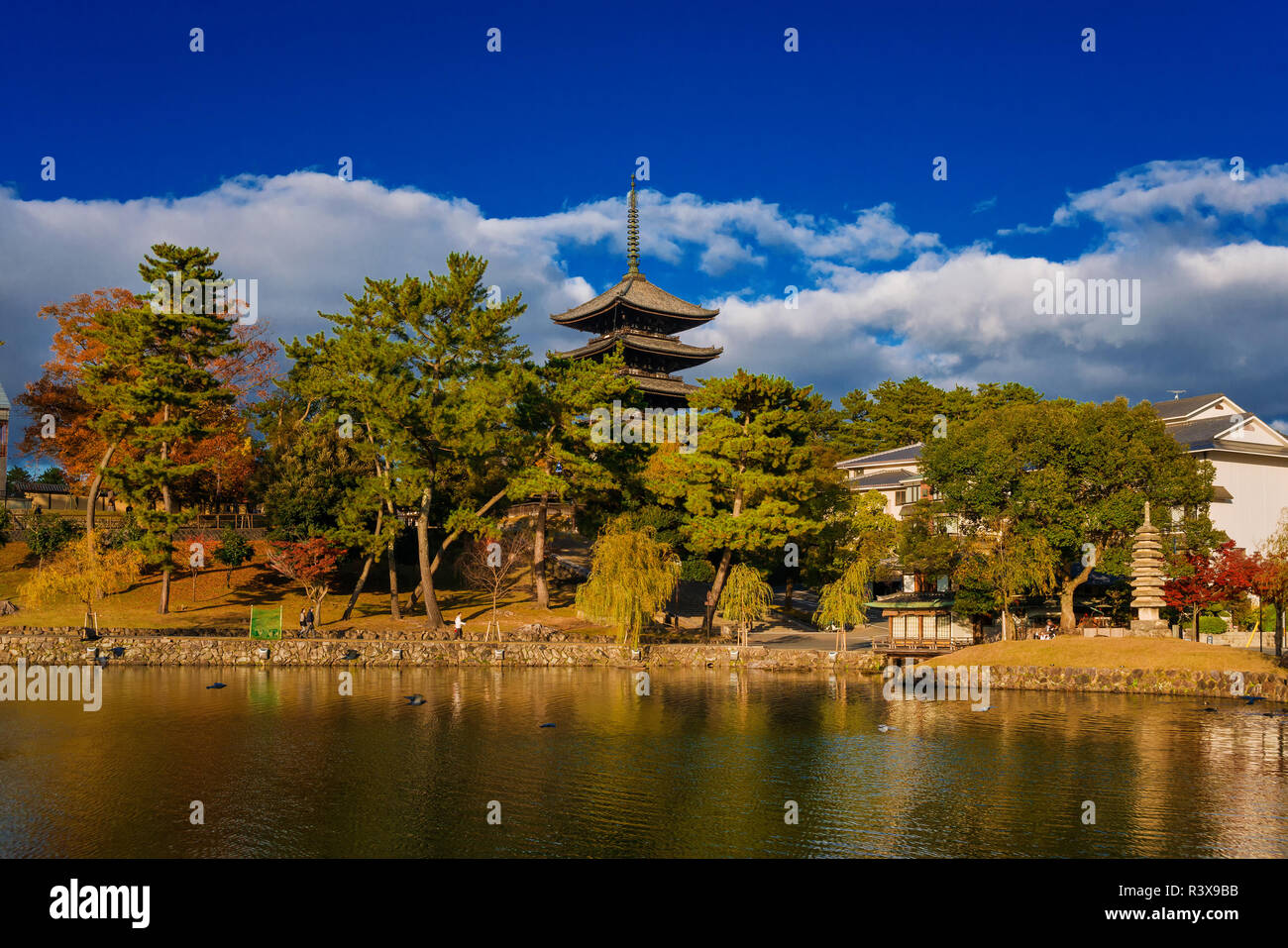 View of the Kofuku Temple Five Storied Pagoda with Sarusawa Pond in the ancient city of Nara Stock Photo