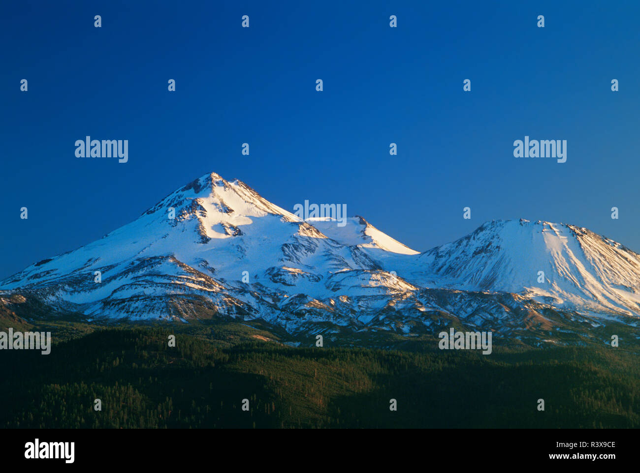Mt shasta forest hires stock photography and images Alamy