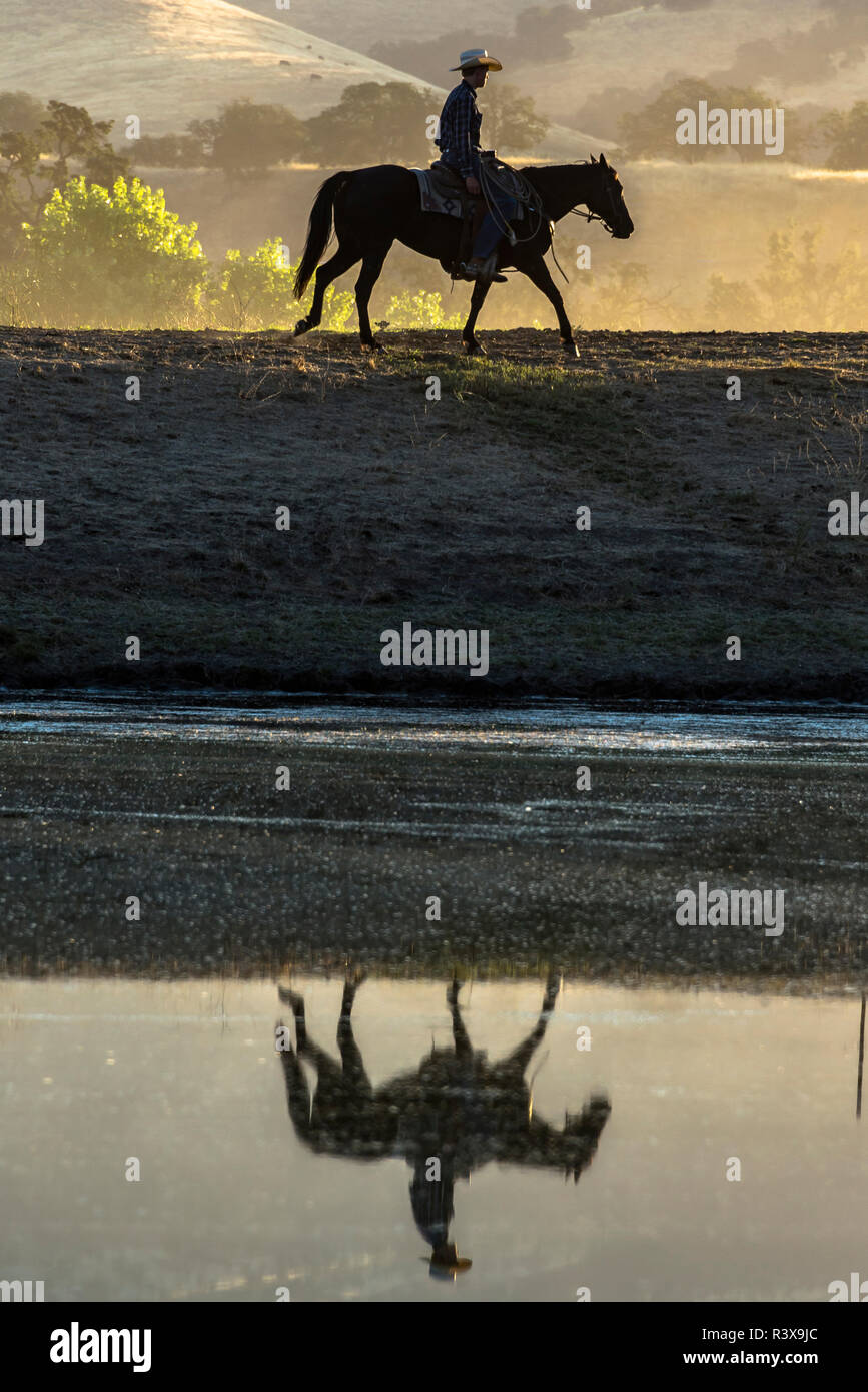 USA, California, Parkfield, V6 Ranch silhouette of a cowboy on ...