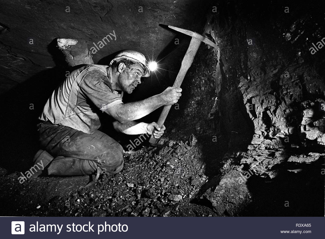 Steam coal miner фото 100