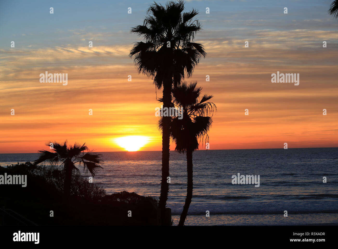 Solana Beach, San Diego County, California. Palm trees face the ocean  during a pink, orange cloud sunset with blue sky Stock Photo - Alamy