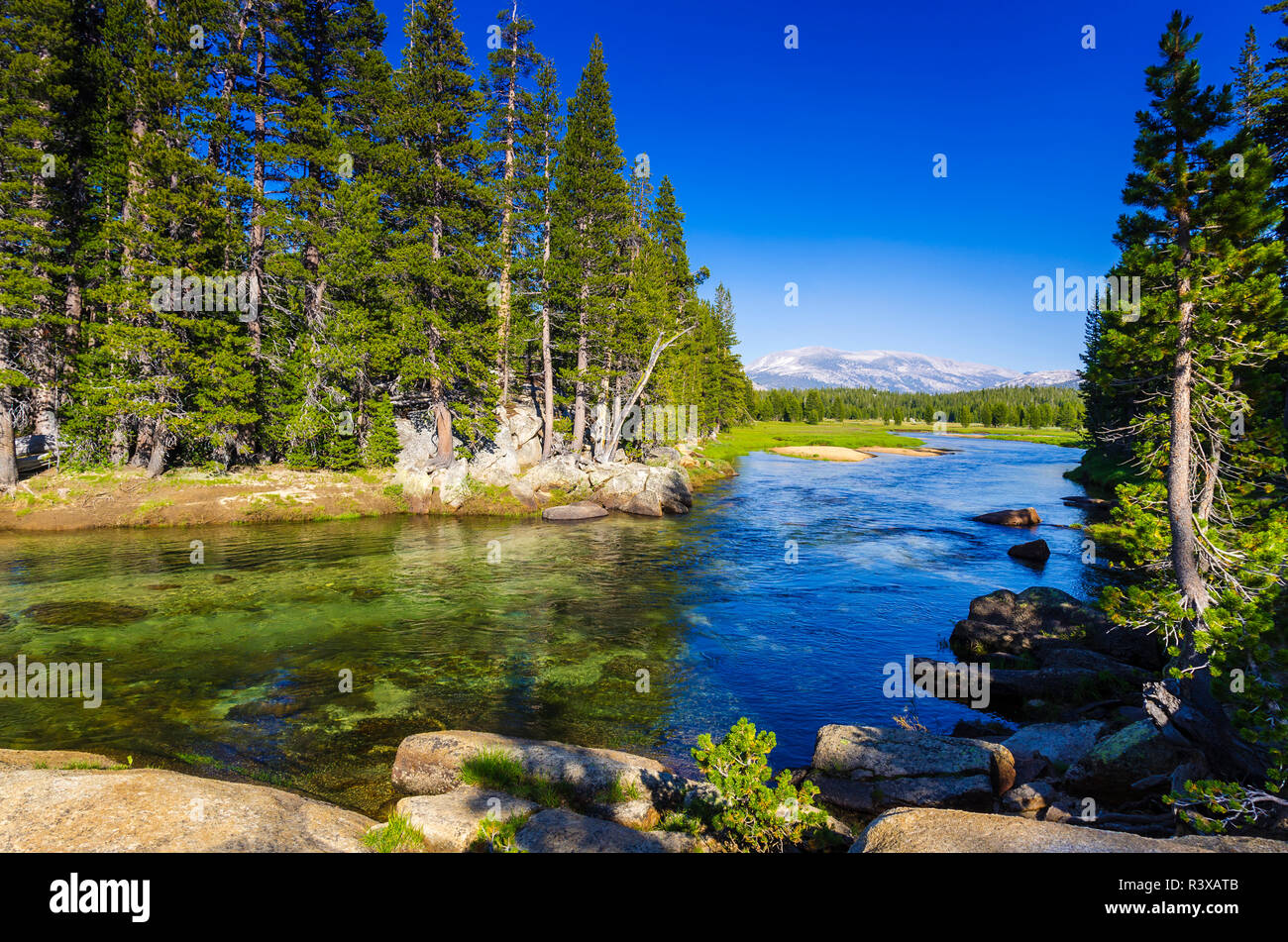 The Tuolumne River, Tuolumne Meadows, Yosemite National Park