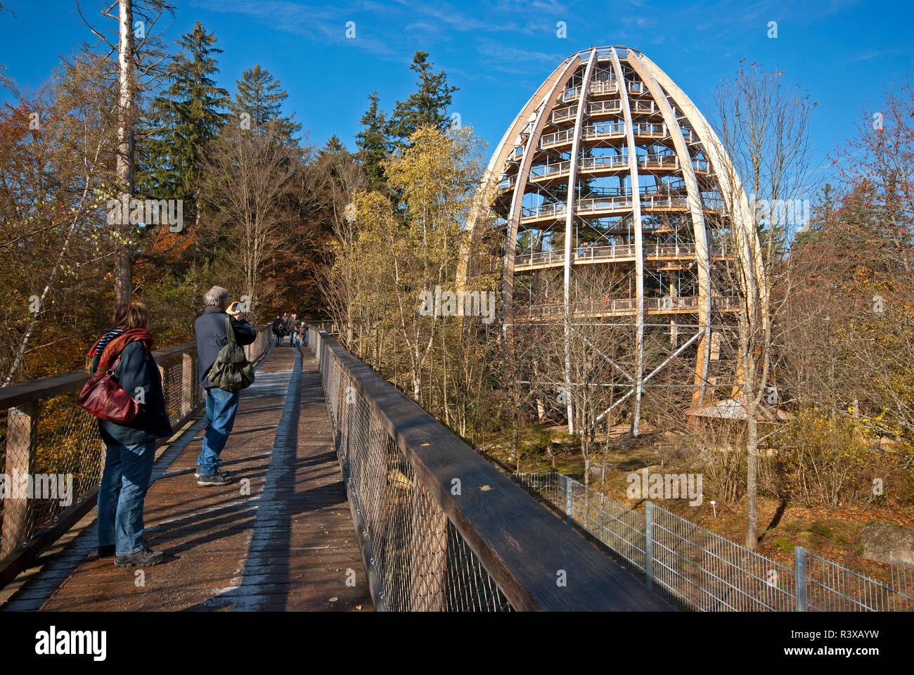 Tree Top Walk Neuschonau Bavarian Forest National Park Bayerischer Wald Bavaria Germany Stock Photo Alamy