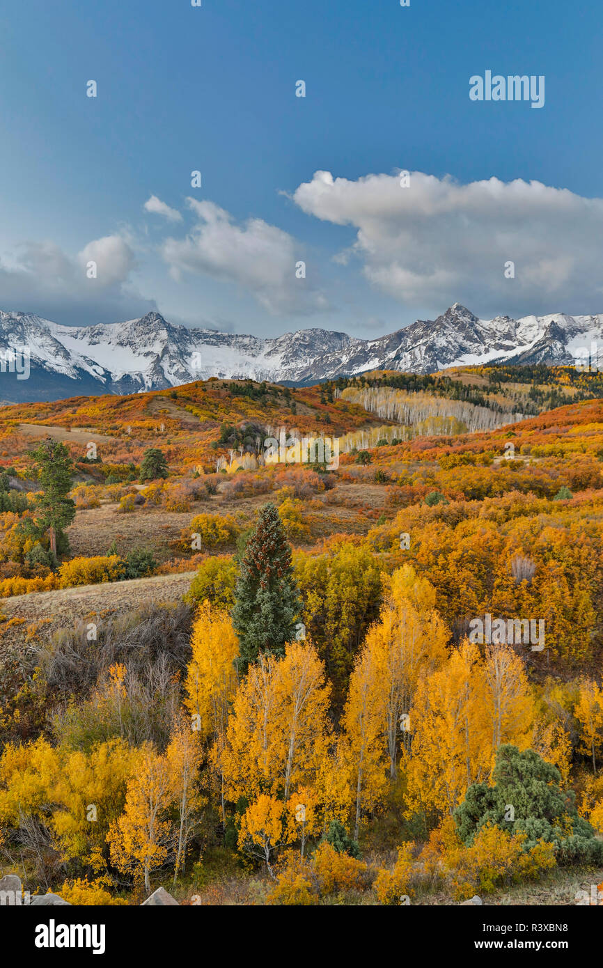 San Juan Mountains from the Dallas Divide, morning Autumn light on Oak ...