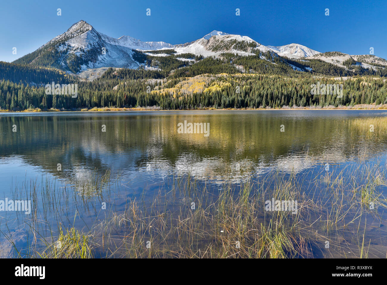 Autumn along Lost Lake in the Kebler Pass area, with West Beckwith Mt