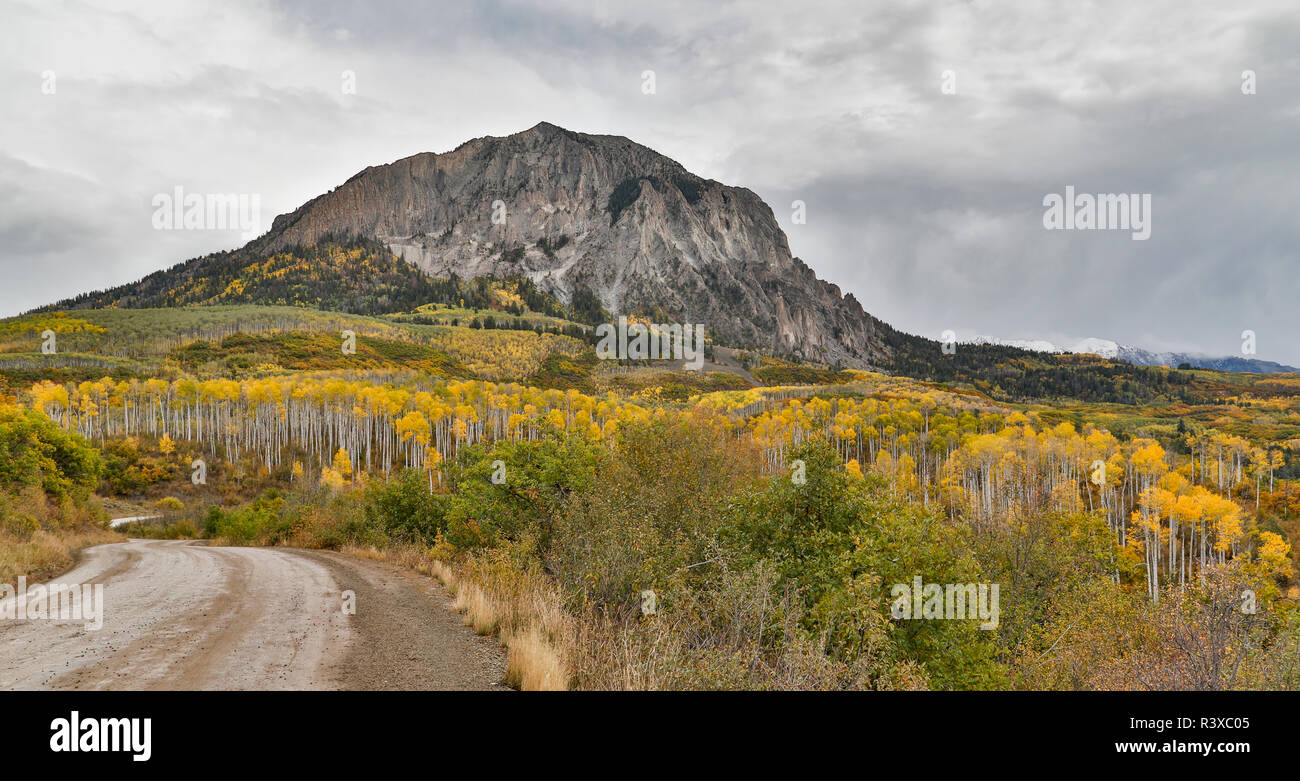 Marcelina hi-res stock photography and images - Alamy