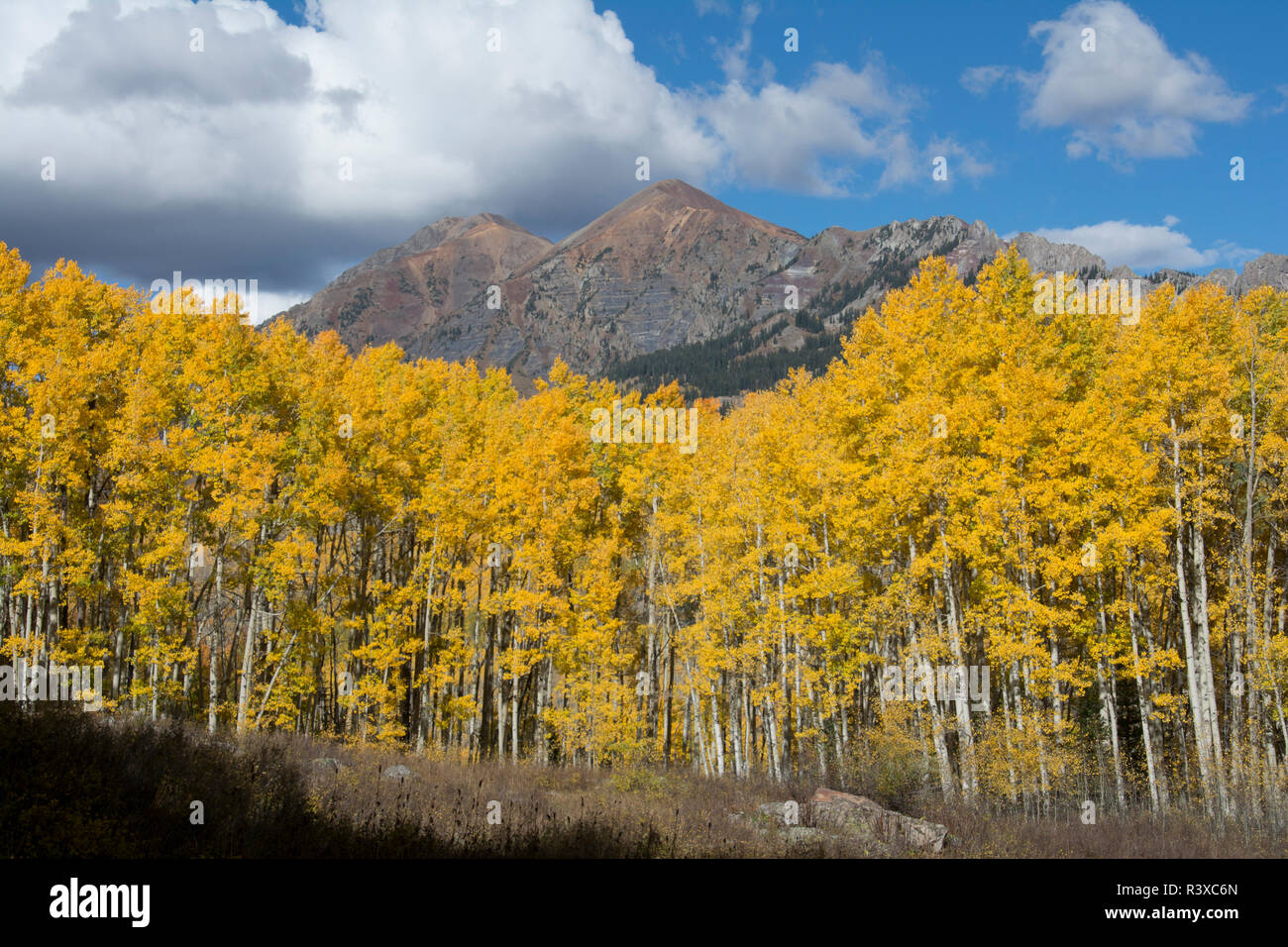 Fall Foliage, Mount Owen and Ruby Peak, Crested Butte, Gunnison ...