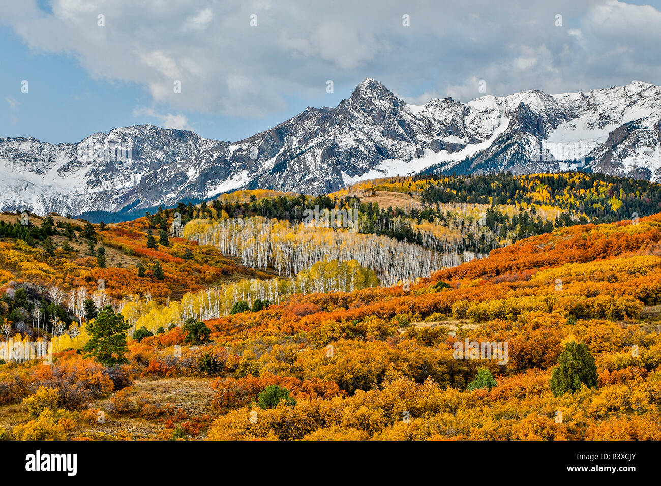 USA, Colorado, Ridgway. San Juan Mountains, Dallas Divide in Autumn Stock Photo