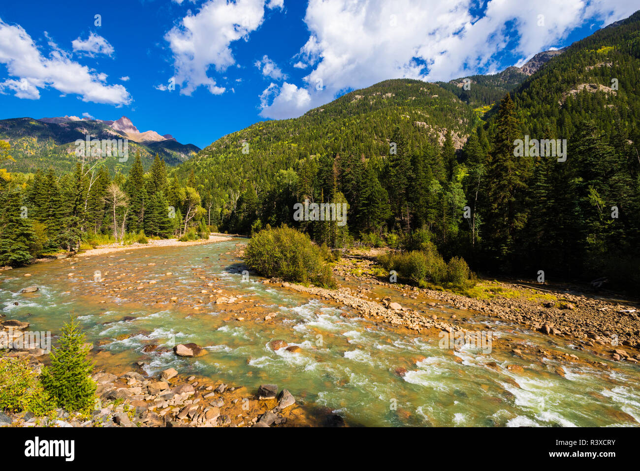 The Animas River, San Juan National Forest, Colorado, USA Stock Photo