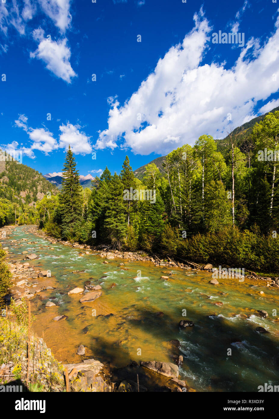 Animas River, San Juan National Forest, Colorado, USA. (Editorial Use Only) Stock Photo