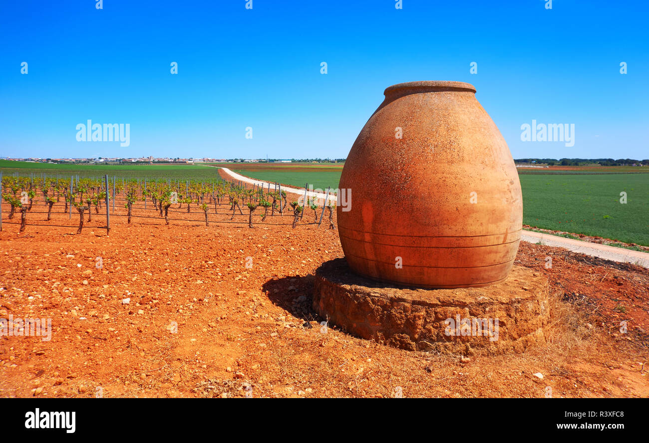Vineyard in Castile La Mancha of Spain in Cuenca by Saint James Way of Levante Stock Photo