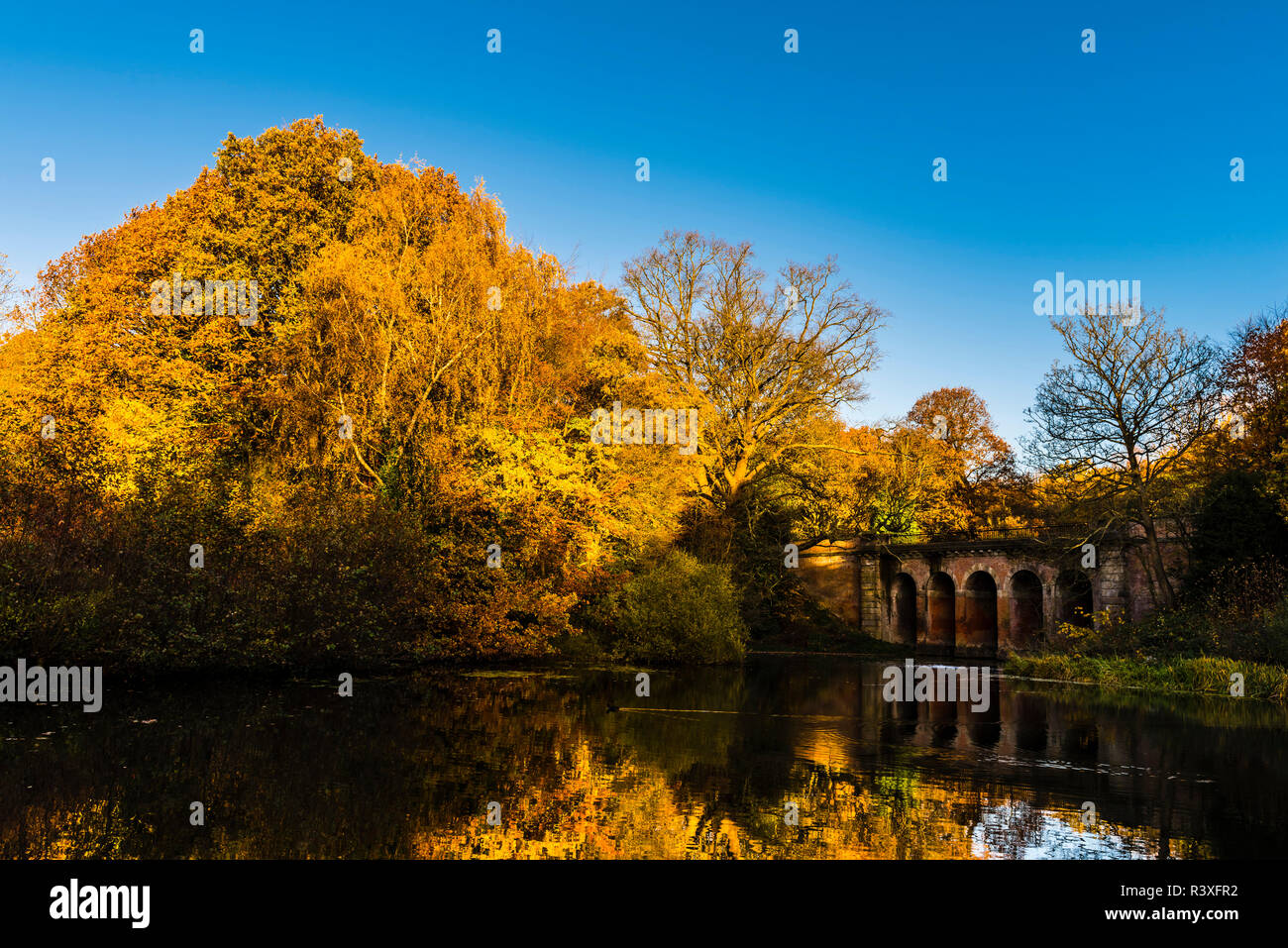 Autumn reflections on the Viaduct pond at Hampstead Heath, London, UK Stock Photo