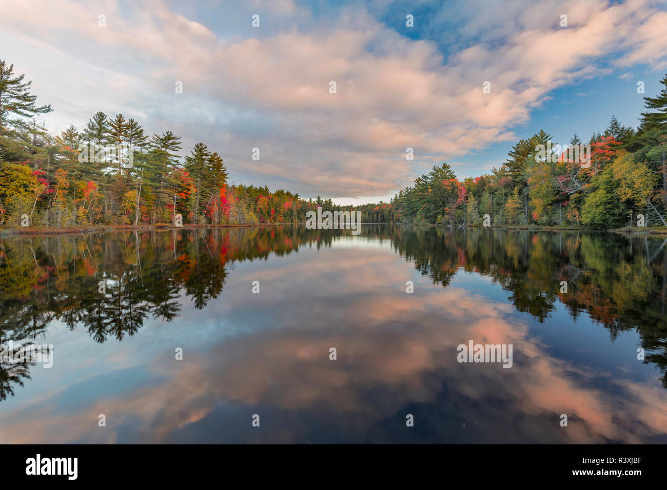 Upper peninsula fall colors hi-res stock photography and images - Alamy