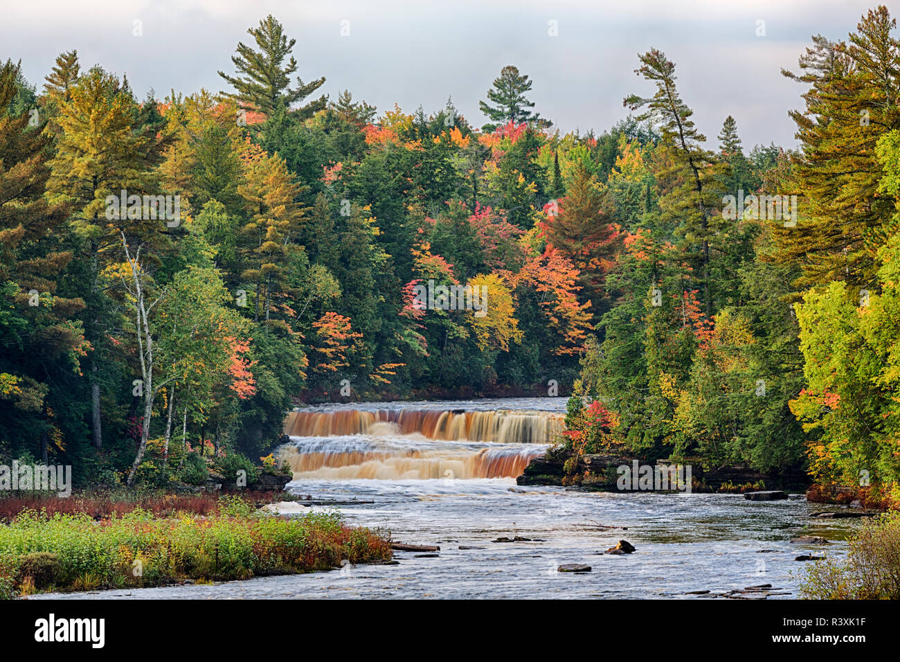 Tahquamenon Falls State Park | www.imagenesmy.com