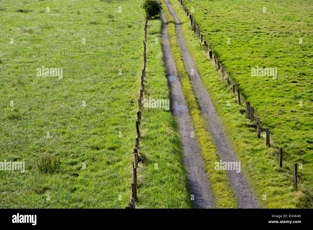 A straight country road with fences and green fields seen from above, placed in the right half of the picture. Stock Photo