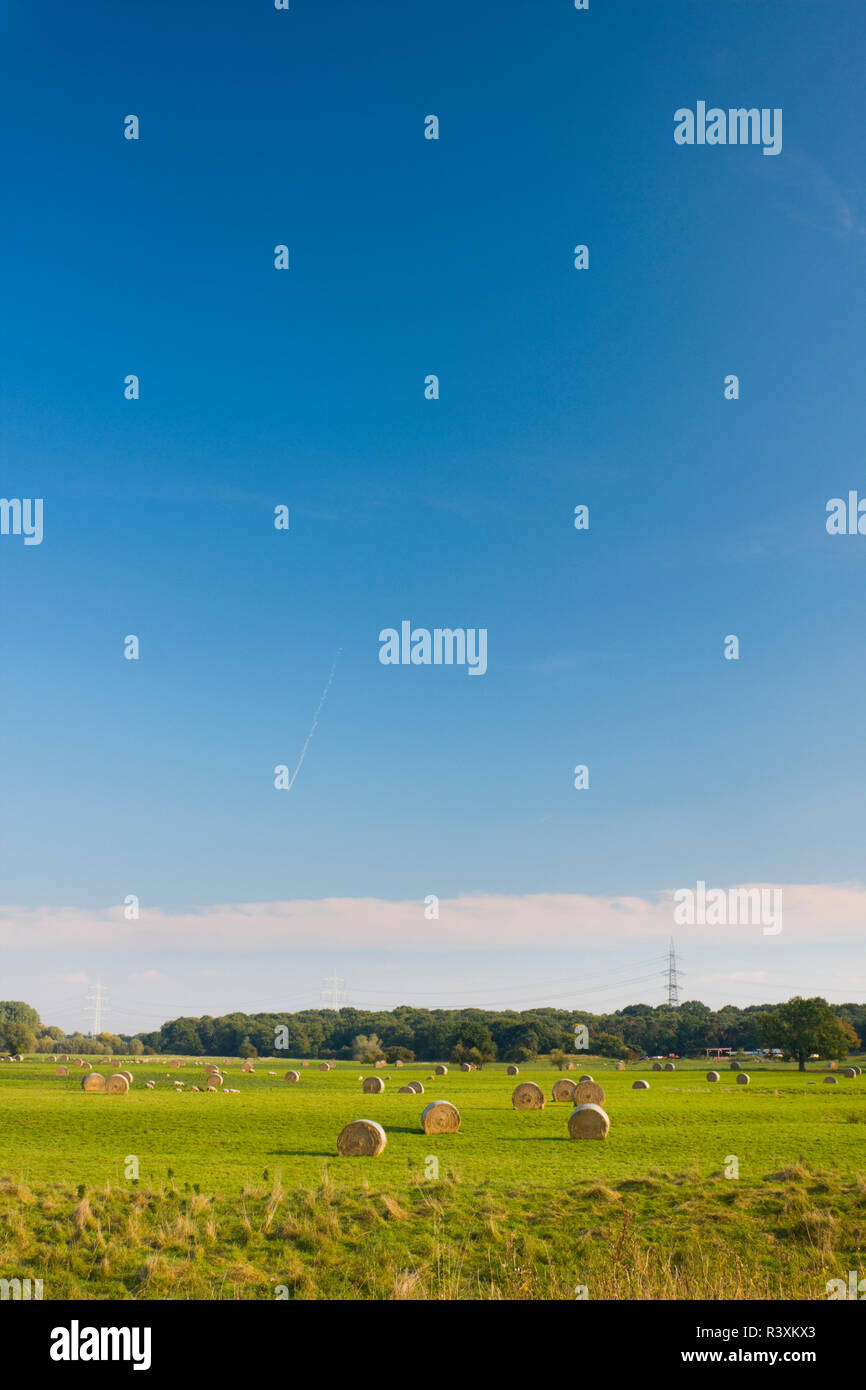 Hay bales on a meadow with tall blue sky Stock Photo - Alamy