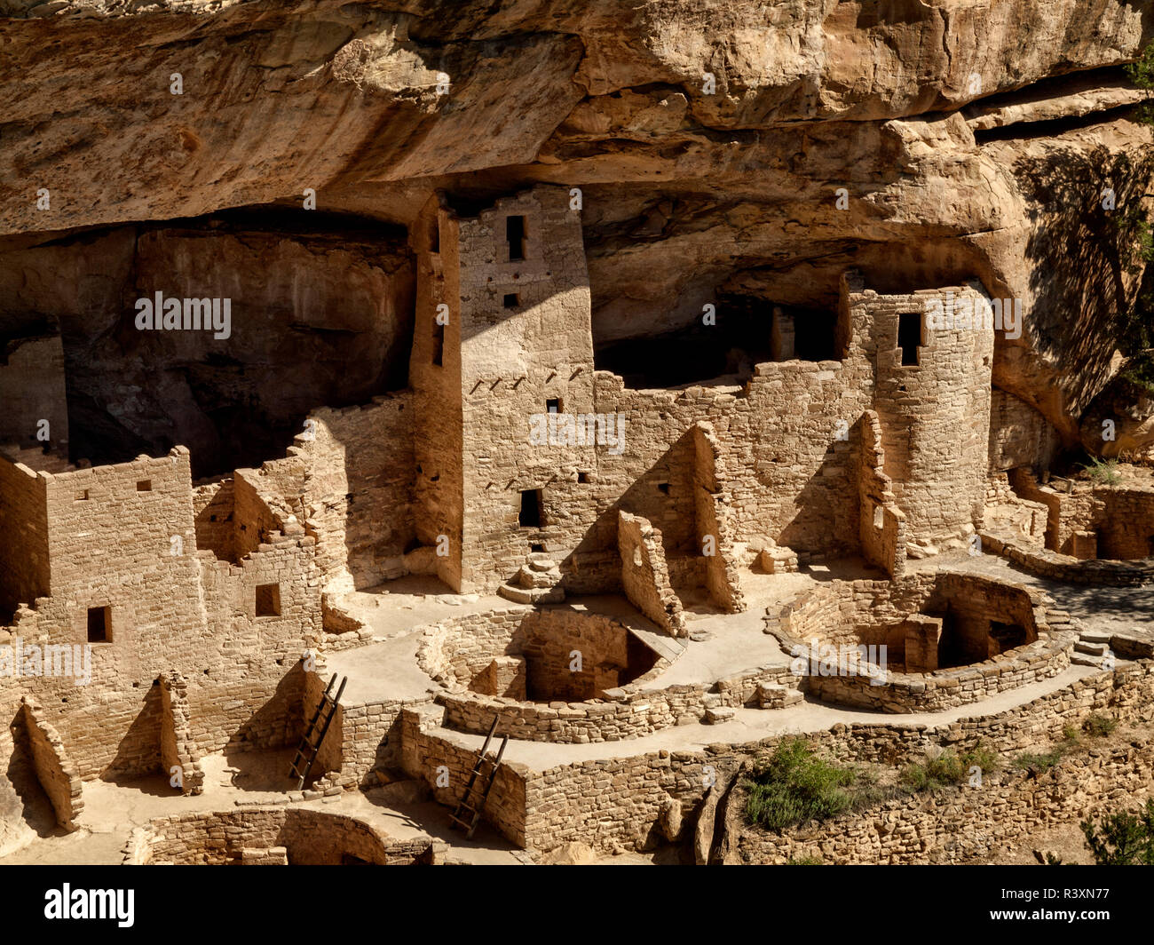 USA, Colorado, Mesa Verde National Park. Cliff Palace ruin Stock Photo