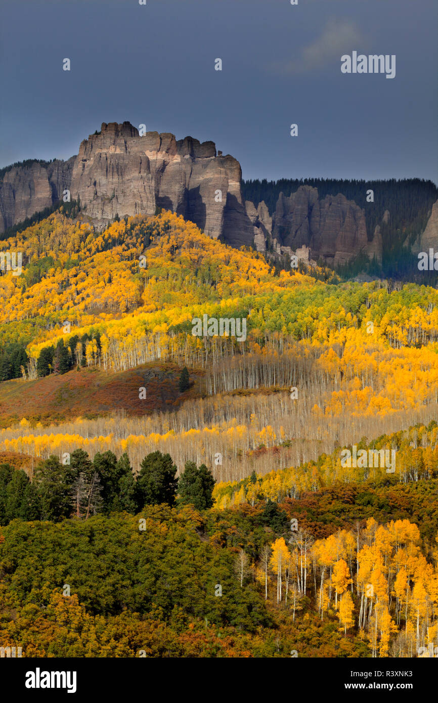 USA, Colorado, Cinnamon Ridge. Mountain and forest landscape in autumn. Stock Photo