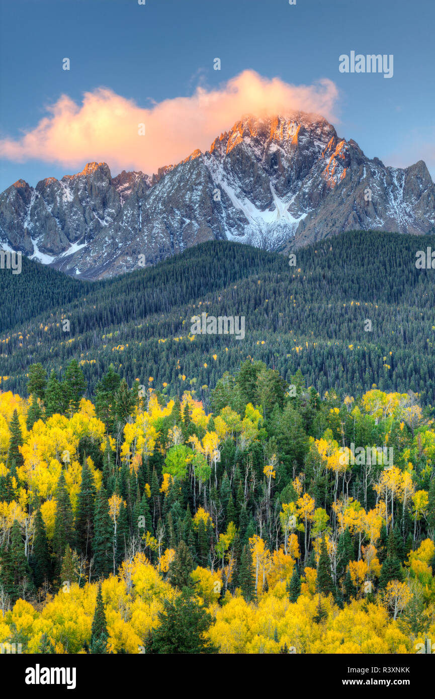 USA, Colorado, San Juan Mountains. Mt. Sneffels and forest at sunrise. Stock Photo