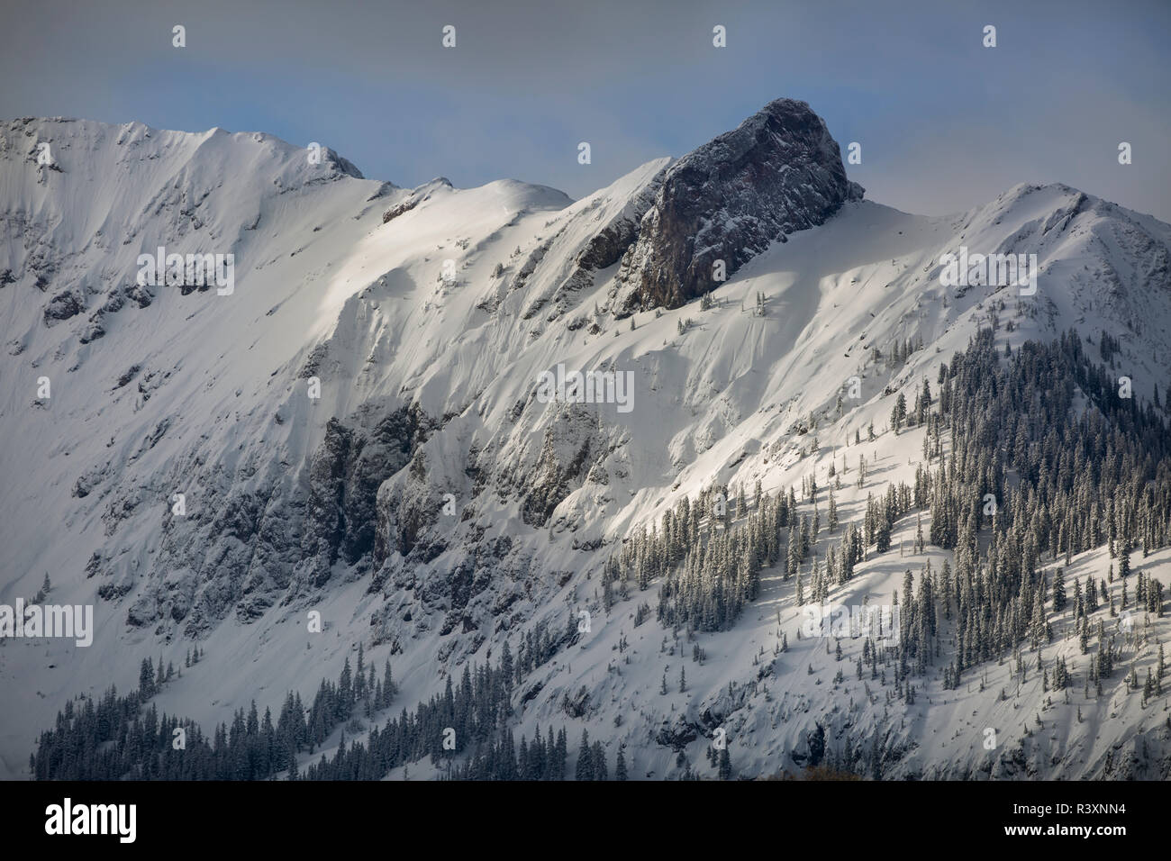 Winter san juan national forest hi-res stock photography and images - Alamy