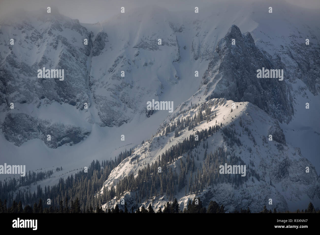 Winter san juan national forest hi-res stock photography and images - Alamy