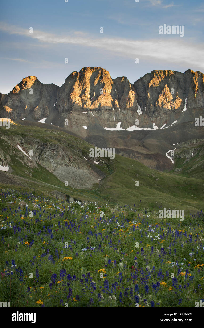 San juan mountains wildflowers hi-res stock photography and images - Alamy