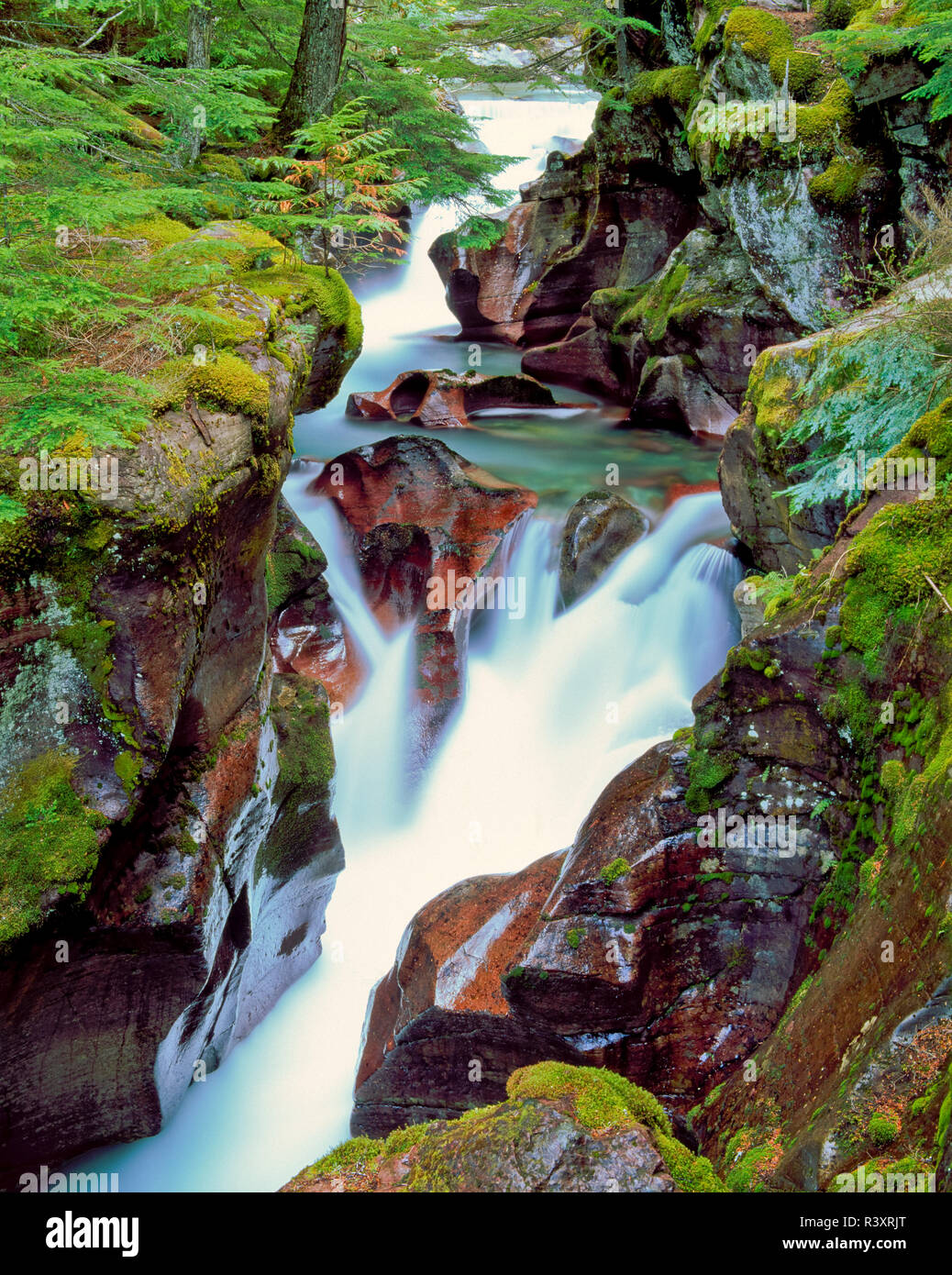 Avalanche Creek Glacier National Hi res Stock Photography And Images Avalanche Creek Glacier National Hi res Stock Photography And Images