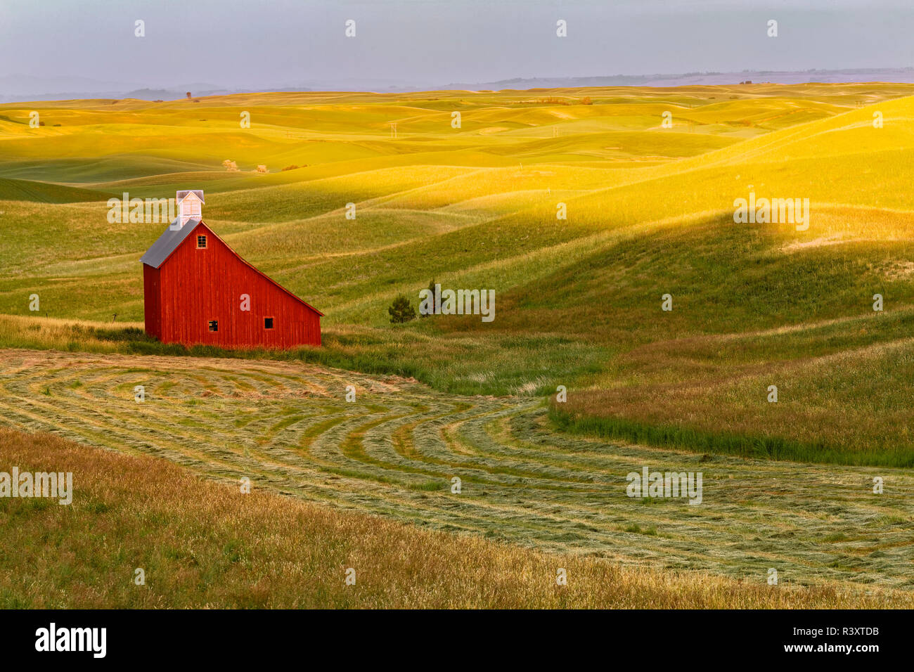 Salt box architecture of red barn near Moscow, Palouse region of
