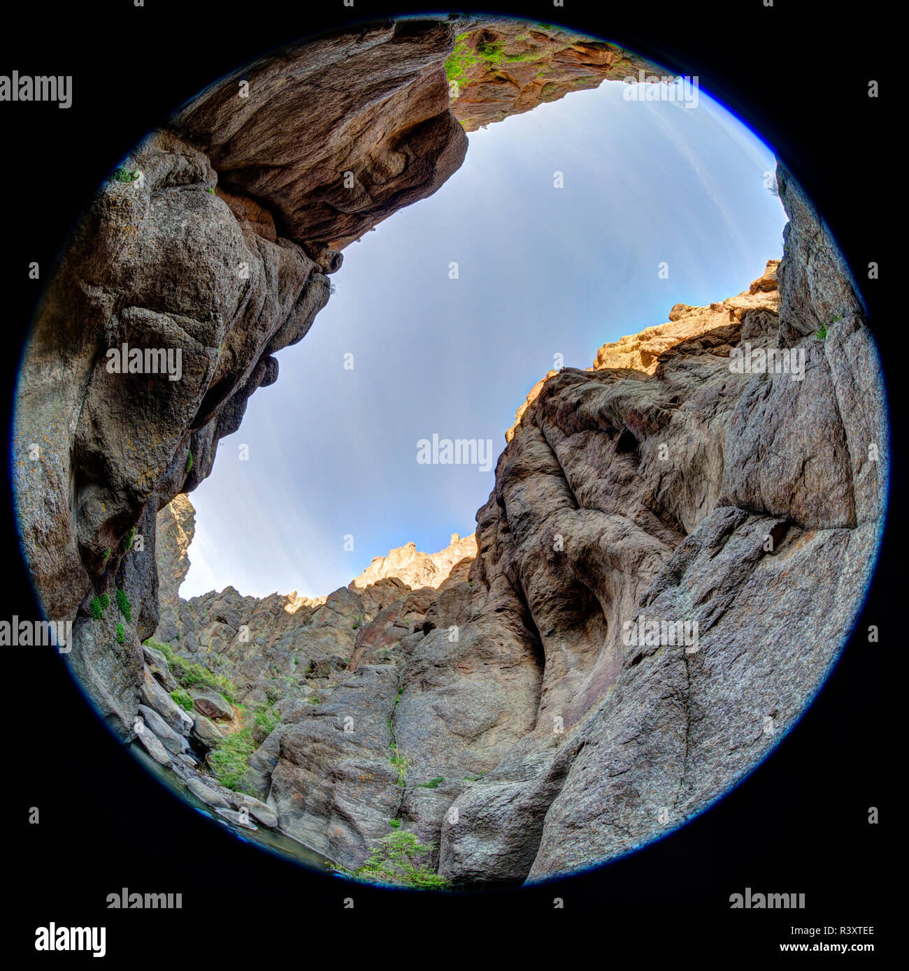Owyhee County, Idaho, USA. Squaw Creek canyon, looking up with rocks