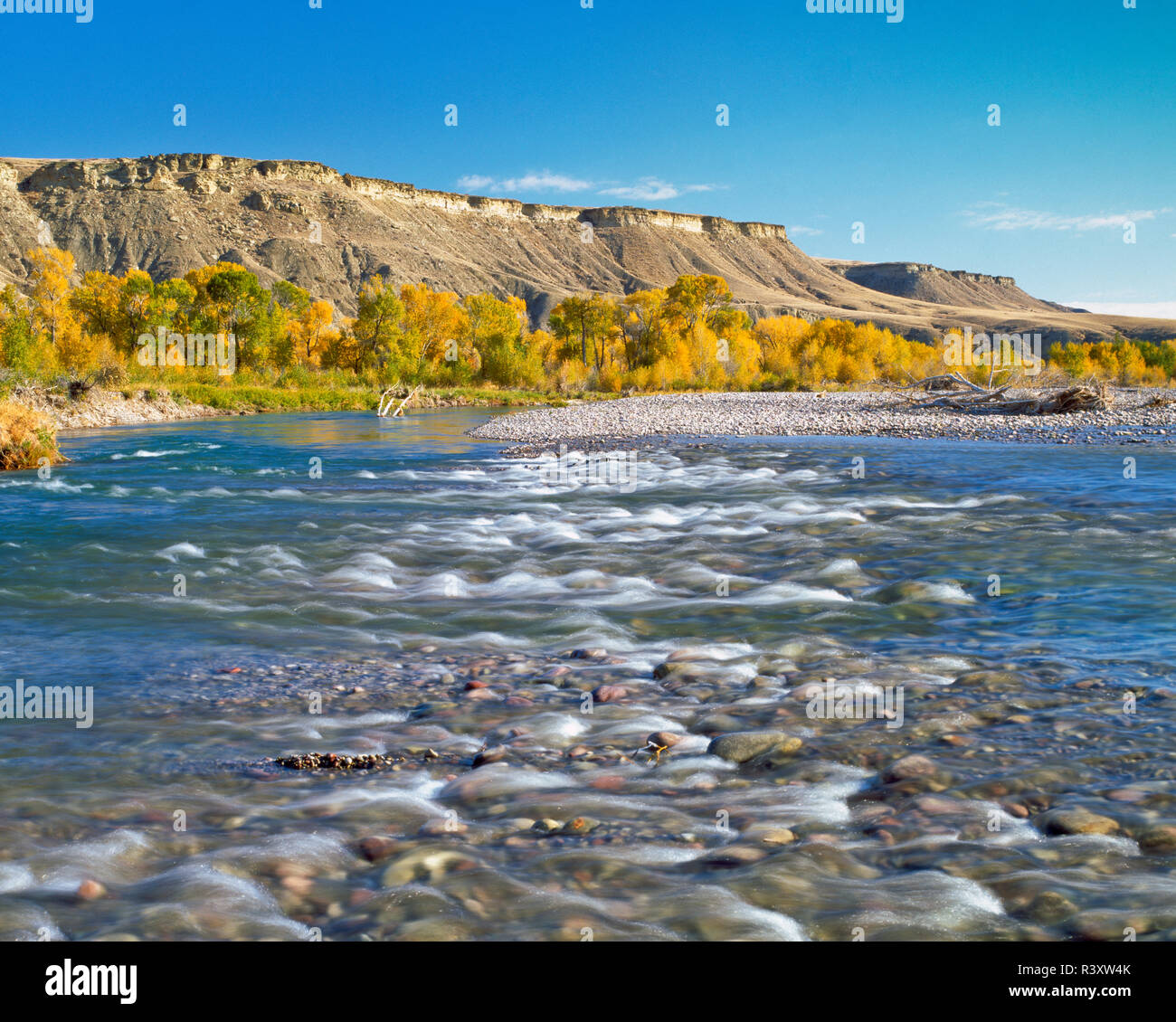 fall colors and cliffs above a riffle on the sun river near simms