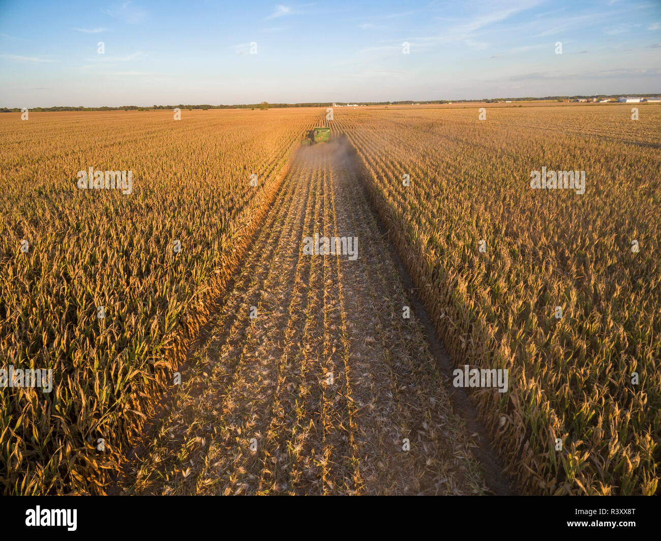 Corn harvest, John Deere combine harvesting cornl, Marion County, Illinois Stock Photo