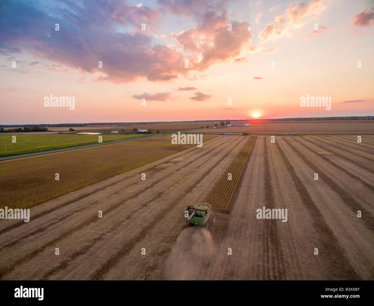Soybean harvest, John Deere combine harvesting soybeans at sunset, Marion County, Illinois Stock Photo