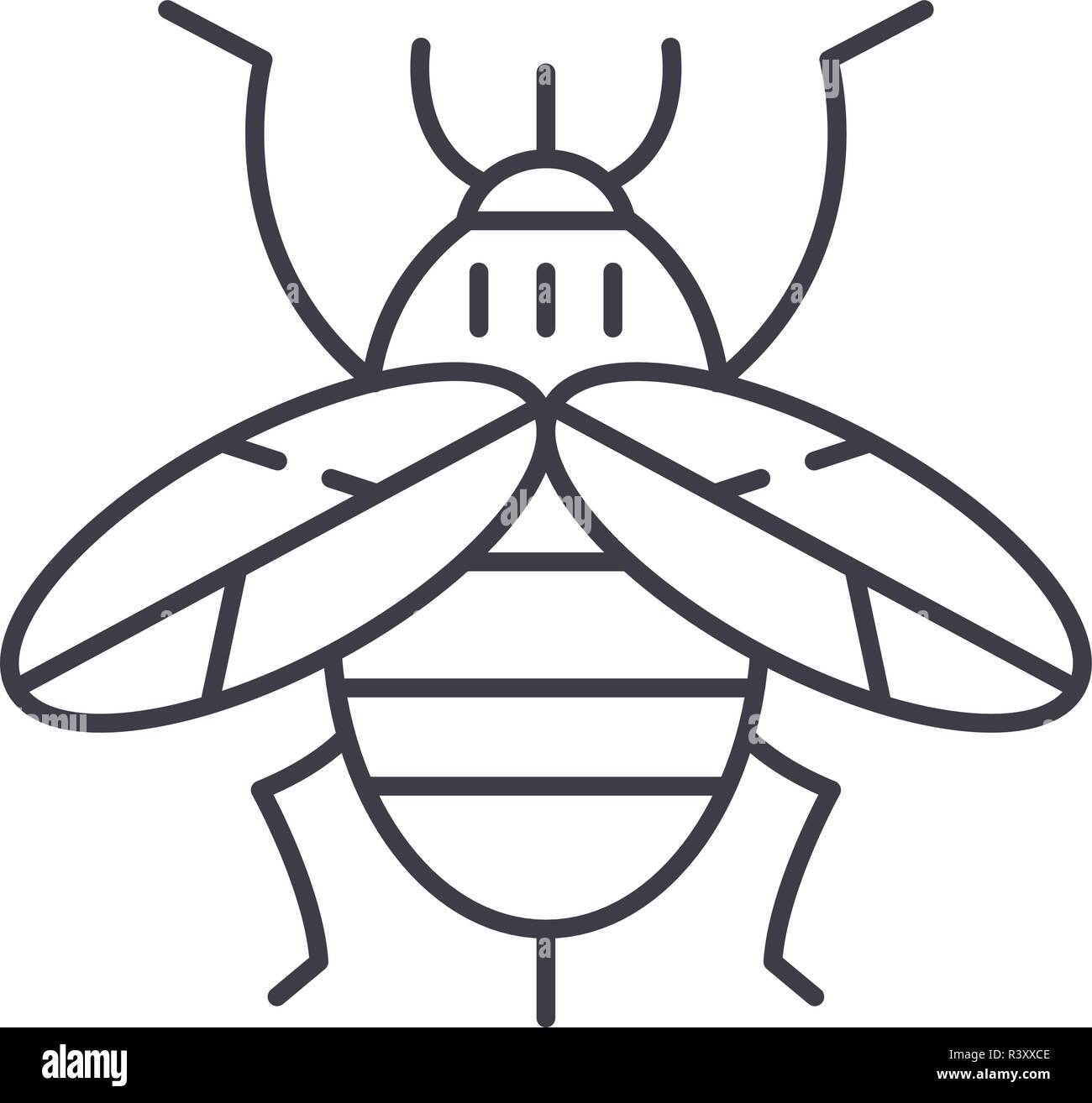 Bee line icon concept. Bee vector linear illustration, symbol, sign ...