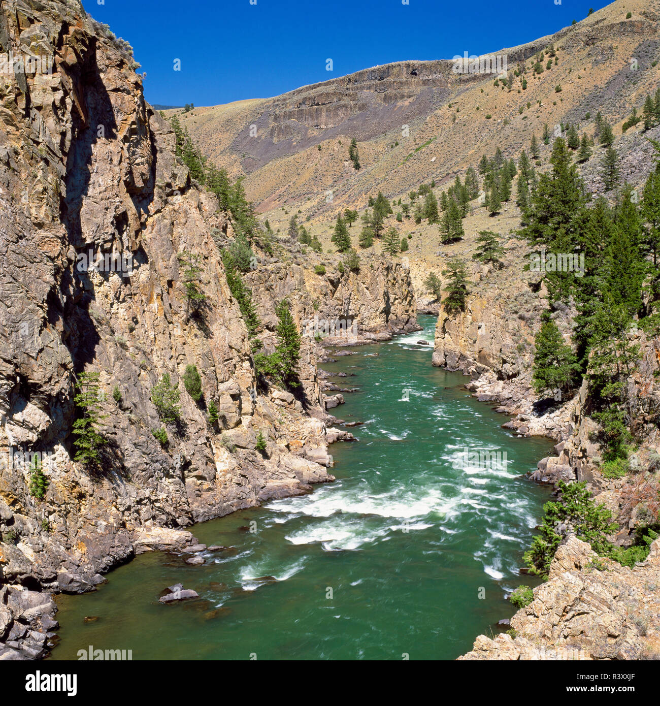black canyon of the yellowstone river in yellowstone national park near