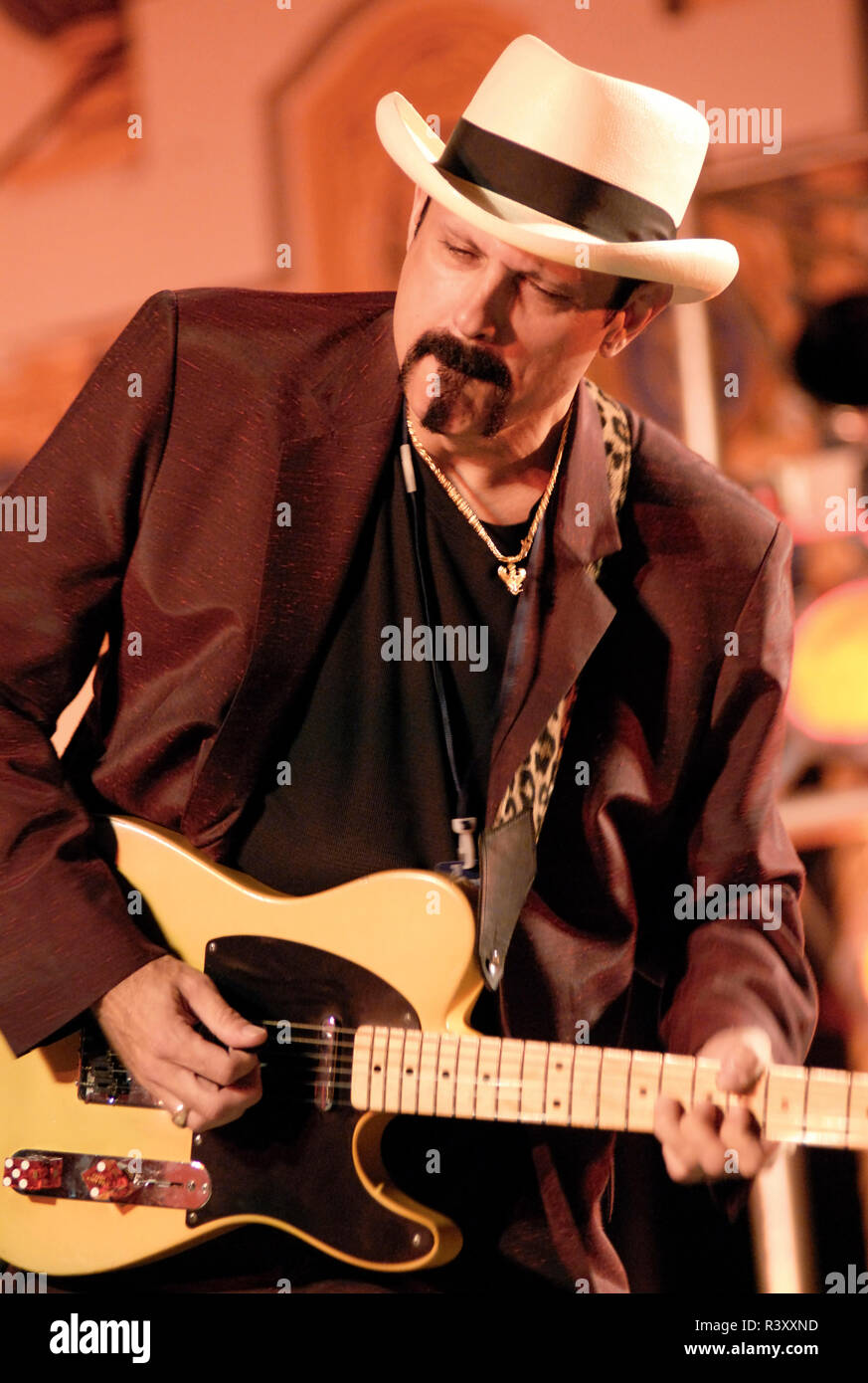 Bluesman playing at the Mississippi Valley Blues Festival, Davenport