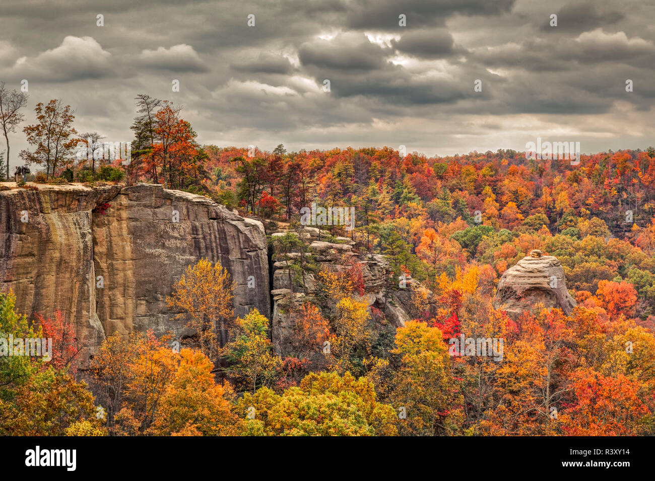 Fall colors and Haystack Rock, Red River Gorge, Kentucky Stock Photo