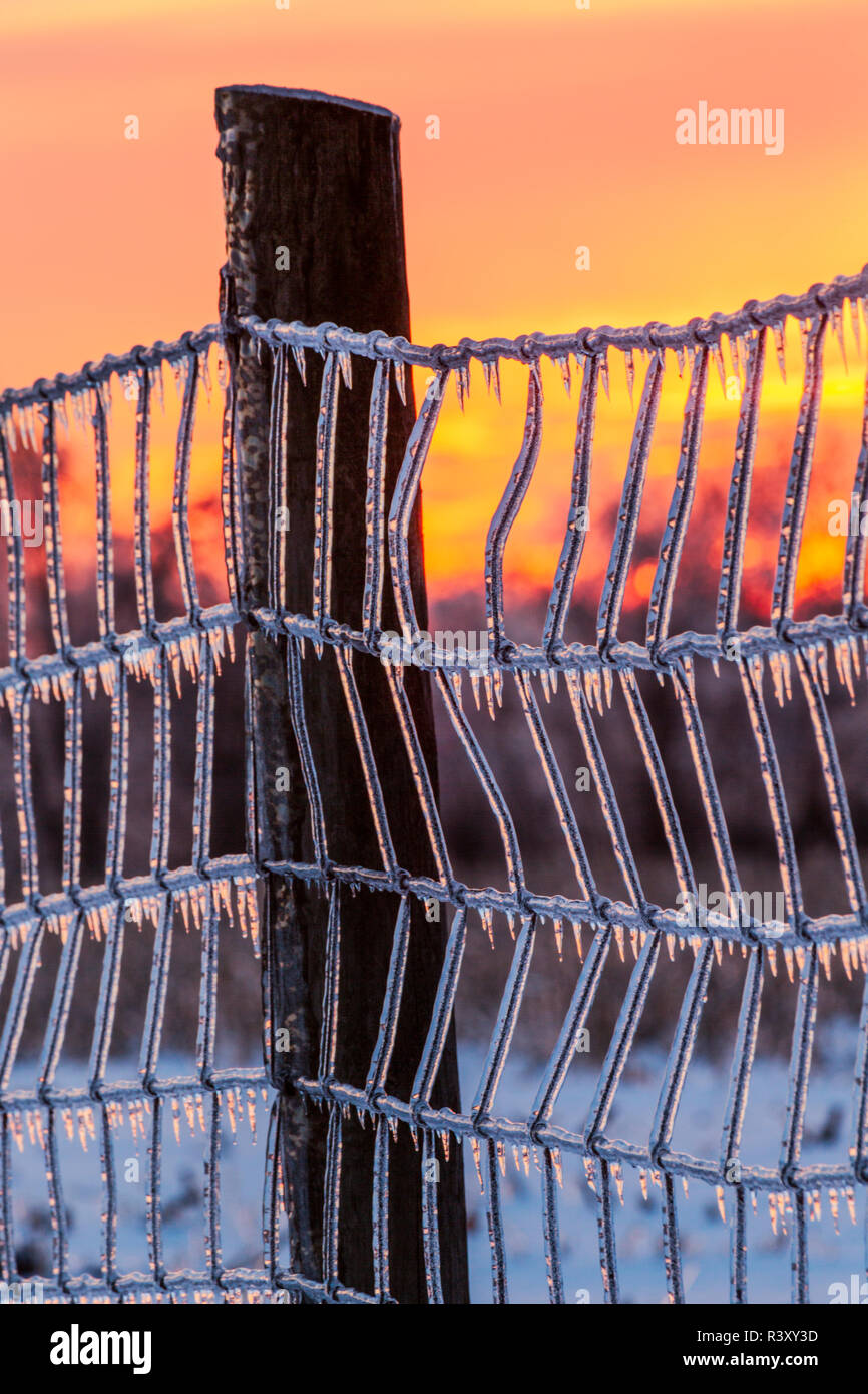 Icicles on fence after ice storm at sunrise, Crestwood, Kentucky Stock Photo