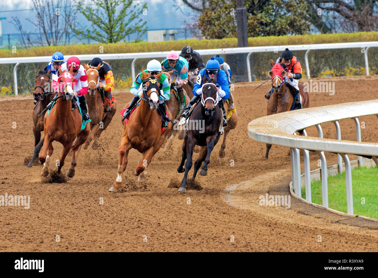 Thoroughbred horse racing, Keeneland Racecourse, Lexington, Kentucky (Editorial Use Only) Stock Photo