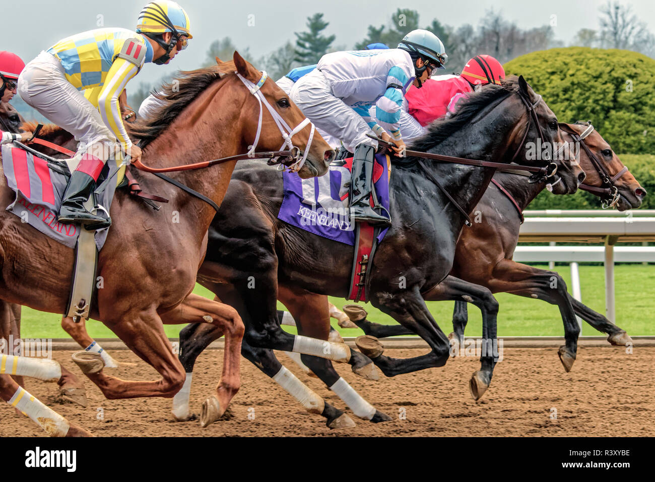 Thoroughbred horse racing, Keeneland Racecourse, Lexington, Kentucky 