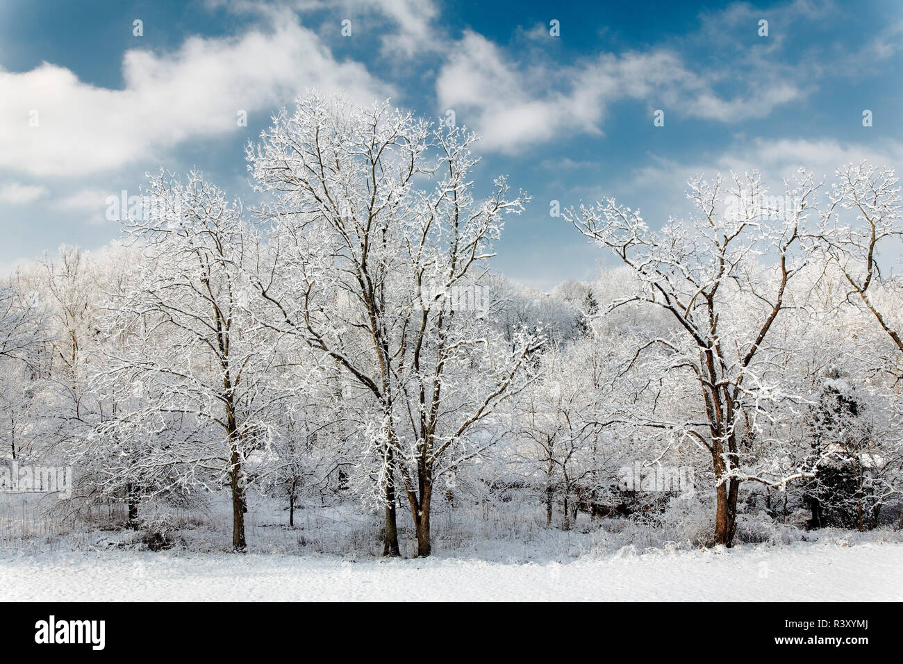 Snow in Crestwood, Kentucky Stock Photo